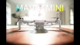 Dji Mavic Mini 8 months later (REVIEW)