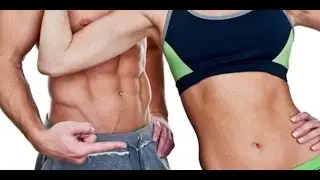 דיאטה מהירה הבדלים בין דיאטות שונות לדיאטה-Diet2all