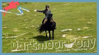 Riding a Dartmoor Pony in Dartmoor National Park! | DiscoverTheHorse [Episode #44]