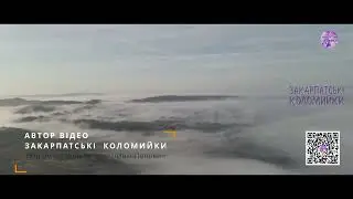 Василь Вовчок ✔️💯СПІВАНА💯 Закарпатські коломийки 👍🔔 #коломийка