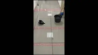 Затопило цокольный этаж в жилом доме в Сургуте