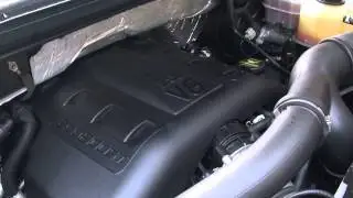 Merry Christmas From My F-150 Ecoboost | Timing Chain Rattle on Cold Start
