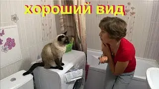 Перчинка мясо и мейкап