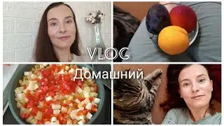 VLOG ДОМАШНИЙ: Больничный продолжается 🤷‍♀️ | Чем кормим своих питомцев 🐹| Готовим кабачки 🍲