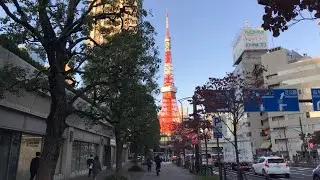 Live | Twilight Walk | Tokyo Tower to Tokyo Station