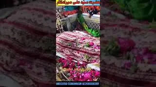 MIRA DATAR DARGAH 😍 Datar Teri Chokhat Bahot Bhali hai 😍 status 😍 QAWWALI 😍