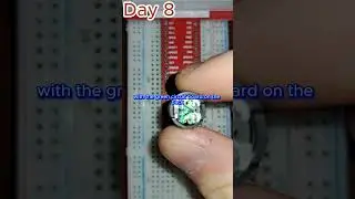 Day 8 of 30: Adding a Passive Buzzer to a Raspberry Pi