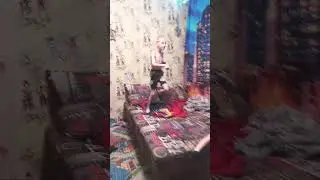 это я дана.