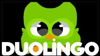 DUOLINGO Animations Memes Compilation