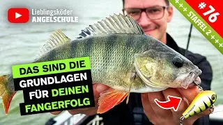 Köderführung SpinMad – die Tipps der Profis 🤩🎣👍🏼