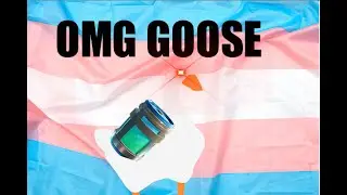 THAT FUNNY GOOSE GAME AGAIN, PLUS FORTNITE AFTER MAYBE!