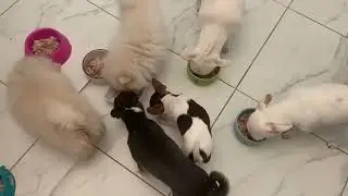 Нужно плотно подкрепиться.