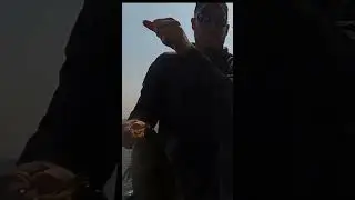 One last cast! A day full of 20 inch #smallmouth bass on Mille Lacs #fishing #bassfishing #millelacs