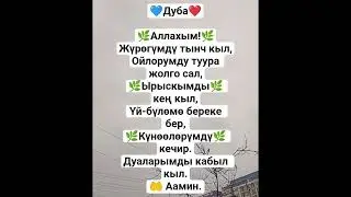 4 марта 2026 г.