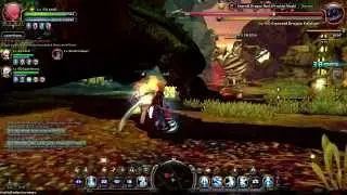 Dragon Nest - Green Dragon Nest Duo