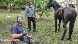 Trip to the Karachay Stallion Forging. Zelim and Tuman.