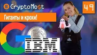 GOOGLE ВНЕДРЯЕТ БЛОКЧЕЙН ТЕХНОЛОГИЮ. IBM ЗАПУСТИЛ ПЛАТФОРМУ ДЛЯ БЛОКЧЕЙН-СТАРТАПОВ CryptoMost №49