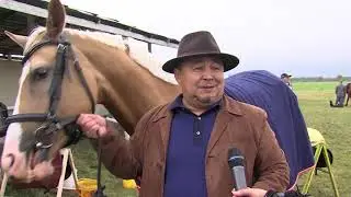 Дистанционные конные пробеги памяти Тимура Насырова 2018