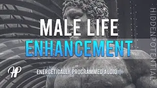 Male Life Enhancement Bundle - Overall Masculinity Boost and Hormonal Balance
