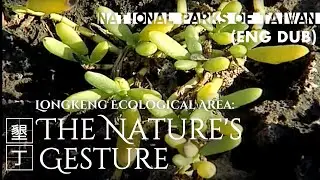 Kenting National Park｜Longkeng Ecological Area (Eng)–The Nature's Gesture｜Taiwan｜龍坑｜墾丁國家公園