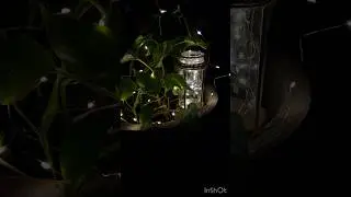Diwali decoration ideas |Diy Diwali decoration ideas 