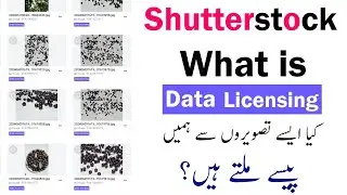 What is data licensing on Shutterstock contributor Explain in Urdu
