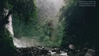 NO TE QUEDES CALVO