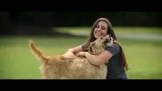 Dog Gone Opening Scene