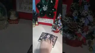 #таро