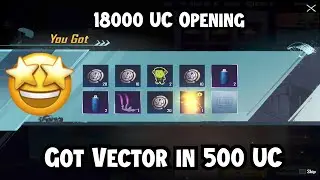 I Got Vector in 500 UC Then This Happened | Blood Tooth Vector | Golden Earl Crate Opening