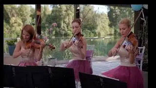 Nunti, botezuri, inmormantari - Cvartet Anima