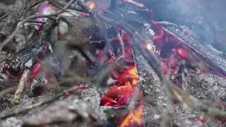 Ultra Super Secret Squirrel Camp Red River Gorge