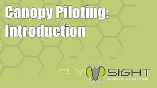 Canopy Piloting: Introduction