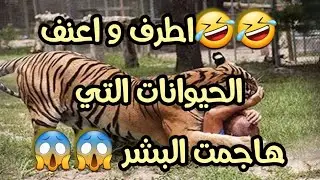اعنف و اطرف الفيديوهات لحيوانات هاجمت الانسان😱😱صورتها الكاميرا #حيوانات#تعليق_صوتي #وثائقي #trending