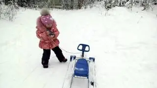 Аргамак