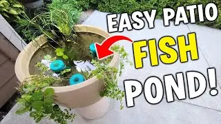 I Made The BEST LED Patio Pond - Setup & Tutorial