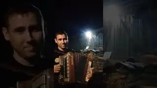 лаванда (София Ротару) под гармонь кавер