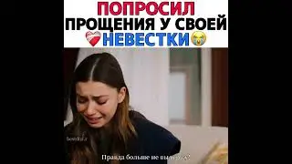 Халис ага поддержал Сейран 🔥🔥🔥.  Зимородок. Yali capkini. Сейран и Ферит