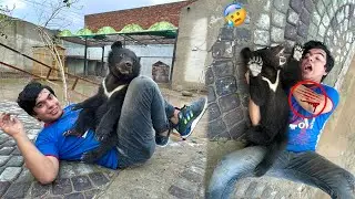 Big Zoo Me Bear Baby Agea 😍 Waleed Pr Attack Kr Dea 😰