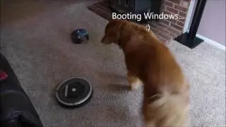 Dyson 360 Eye vs Roomba 880 - A Review