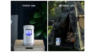 Bugs trap : Perangkap serangga