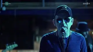 אתניקס - שלל שרב