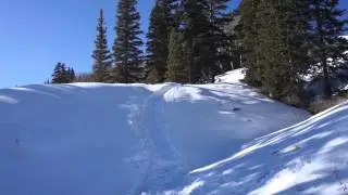 Snow Sledding in Telluride - Colarado
