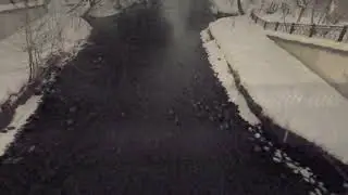 Night shots of ducks. Shot with GoPro 6