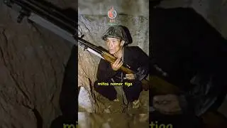 Mitos-Mitos Populer mengenai Perang Vietnam #history #army #shorts