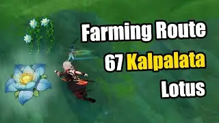 Let's chill and farm Kalpalata Lotus - Dori & Nahida's Ascension Materials