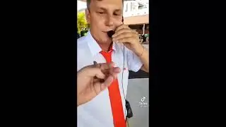 Что это такое, это ящерица Спасибооо