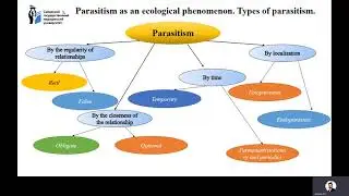 Practical lesson  1 (spring semester)