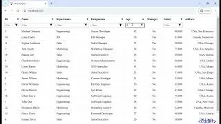 Build a Reusable Angular DataGrid Component: Sorting, Filtering, and More!