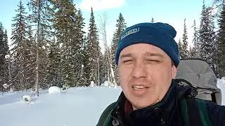 23 февраля 2020 г.